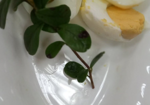 Na białym talerzu są jajka przekrojone na pół z borówką wielkanocną.